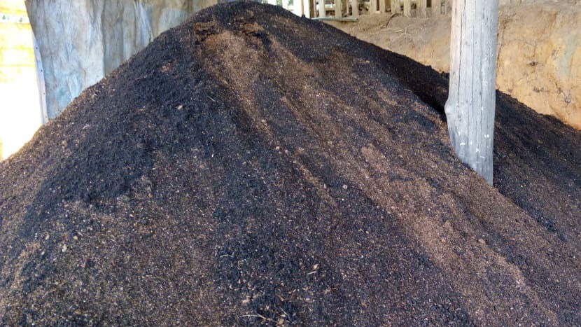 Serviço profissional de jardinagem